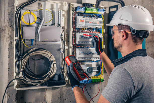 Best Electric Panel Repair  in Blue Earth, MN
