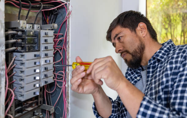 Best Licensed Electrician  in Blue Earth, MN